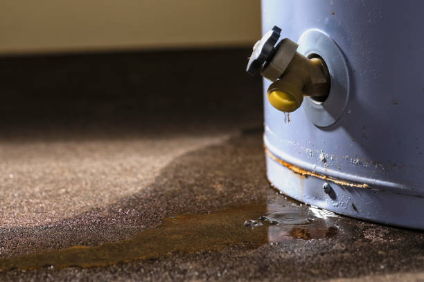 Best Flooded house restoration  in Shorewood, MN