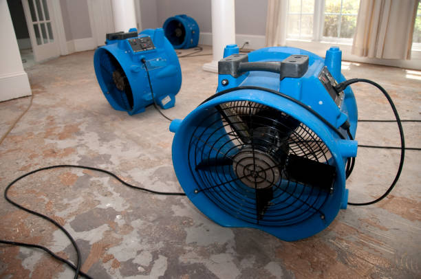 Best Residential water damage restoration  in Shorewood, MN