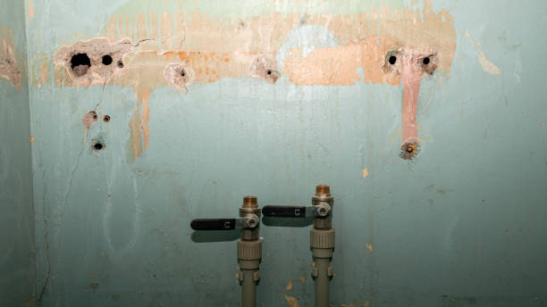 Best Ceiling water damage repair  in Shorewood, MN