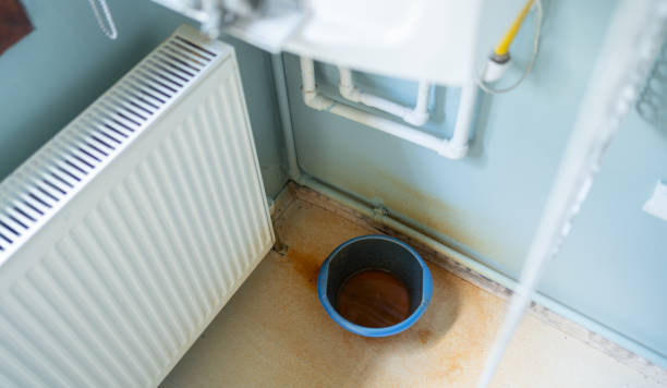 Best Carpet water damage restoration  in Shorewood, MN