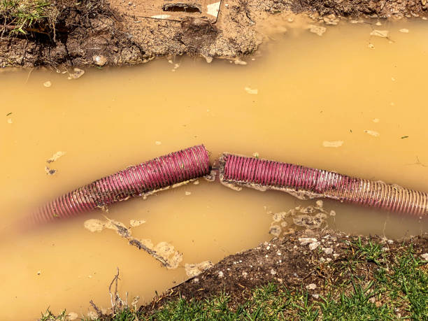 Best 24-hour water damage restoration  in Shorewood, MN