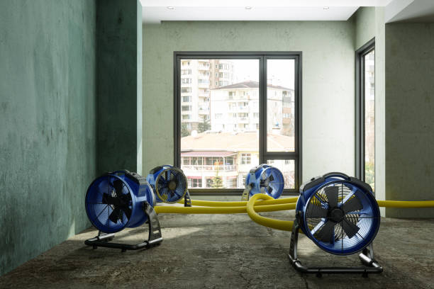 Best Water damage contractors near me  in Shorewood, MN