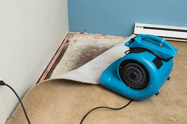 Best Basement water damage restoration  in Shorewood, MN