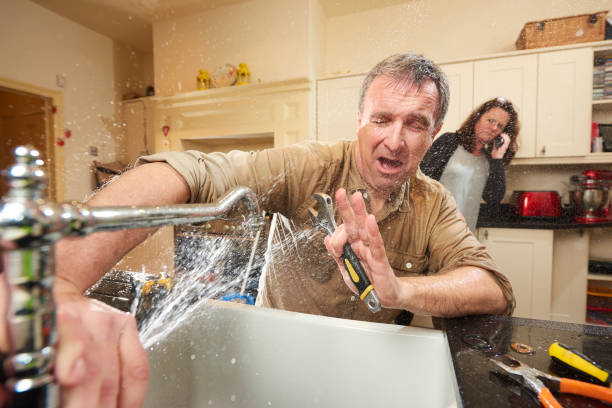Best Flood damage cleanup  in Shorewood, MN